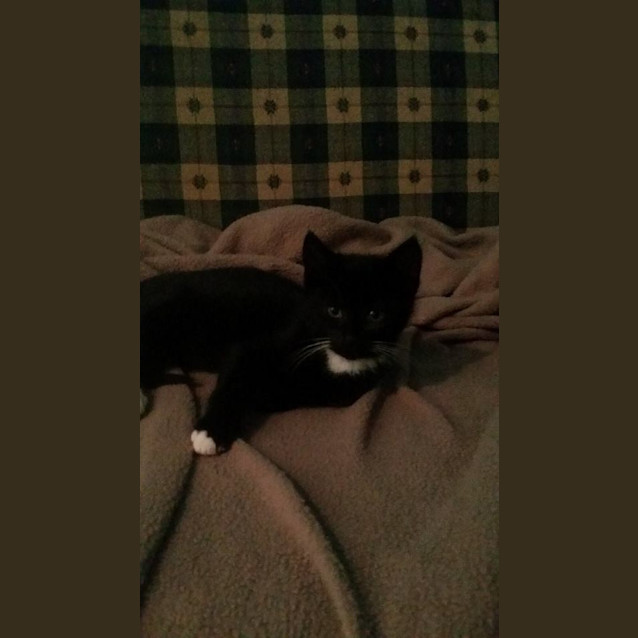 Photo of Holly (No More Enquiries Please)