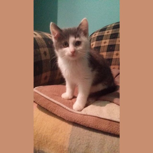 Photo of Lottie (No More Enquiries Please)