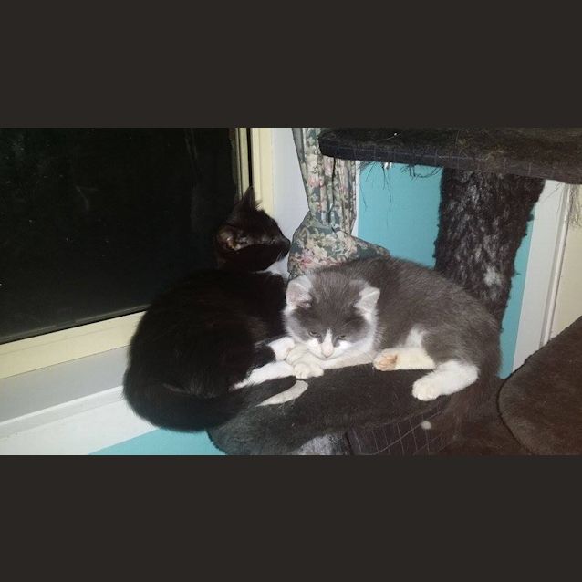 Photo of Lottie (No More Enquiries Please)