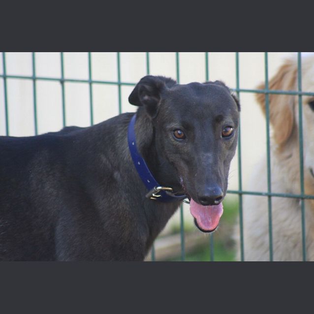 Photo of Mindi