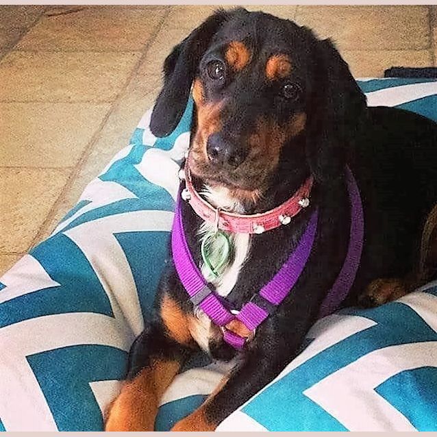 Photo of Zena