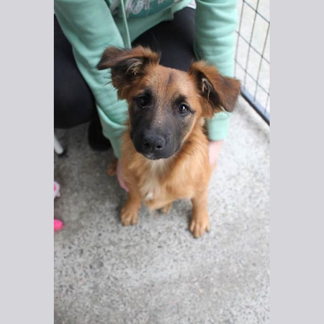 Photo of Gretel