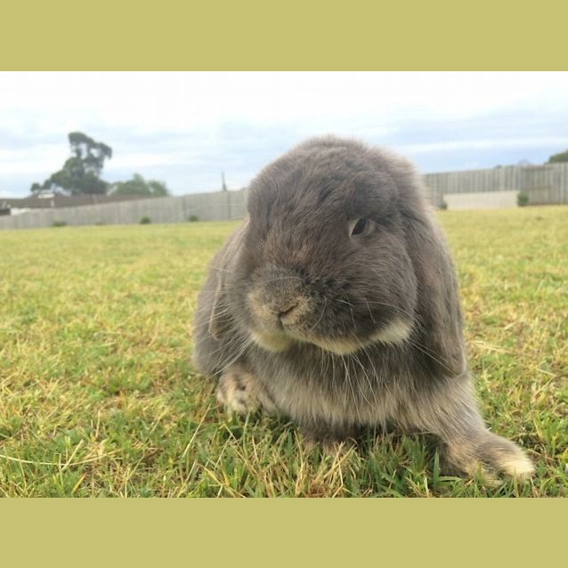 Photo of Hugo 