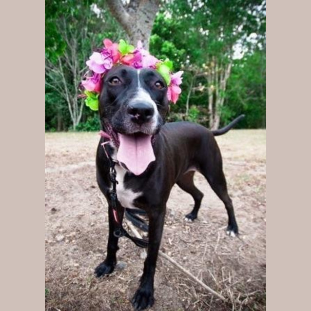Photo of Princess