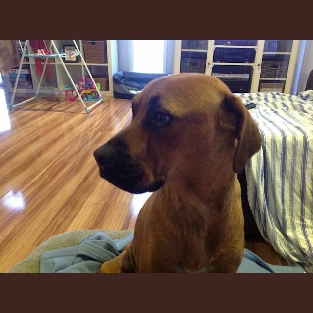 Photo of Ellie (Child Friendly)