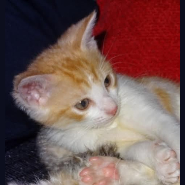 Photo of Benny