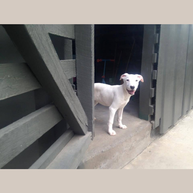 Photo of Holly