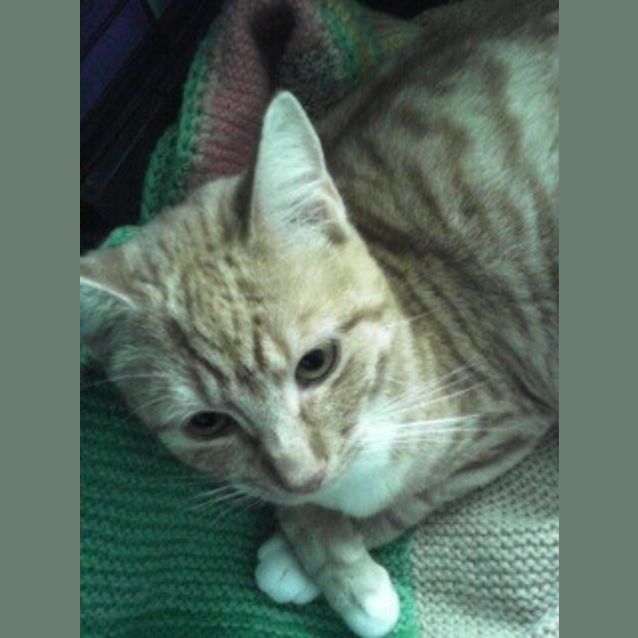 Photo of Megsy