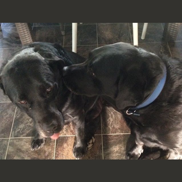 Photo of Toby & Neo