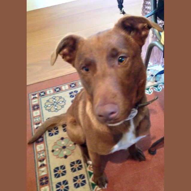 Photo of Nellie Dl1132