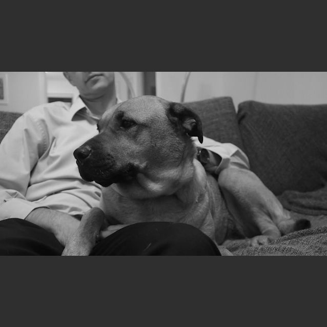 Photo of Missy Dl1024