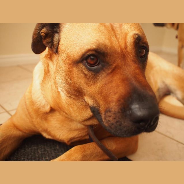 Photo of Missy Dl1024