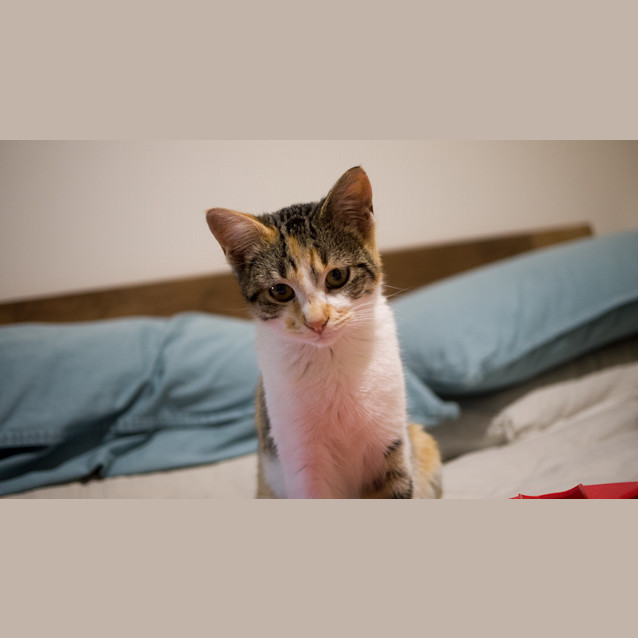 Photo of Minnie