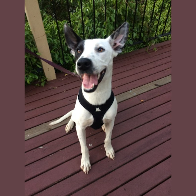 Photo of Cash