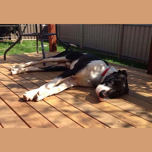 Photo of Stretch
