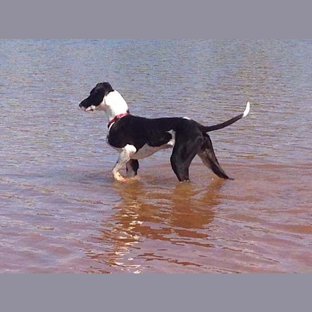 Photo of Stretch