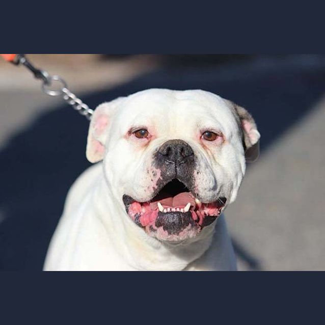 Photo of Chloe