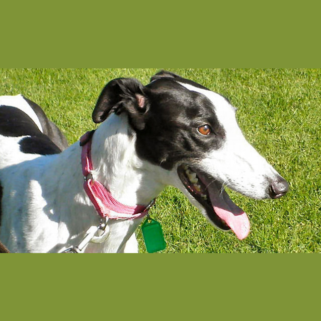 Photo of Elna Is Checking Out Her New Home