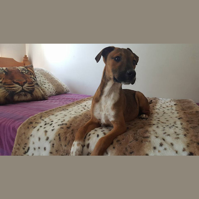 Photo of Caitlyn