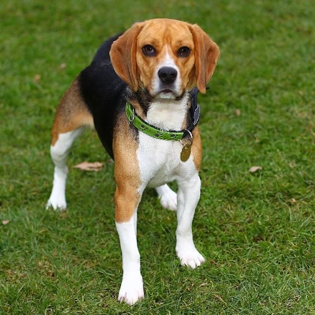 Photo of Lily