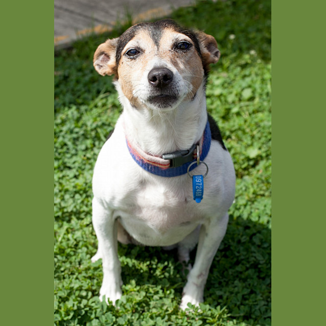 Photo of Ally 081 5892