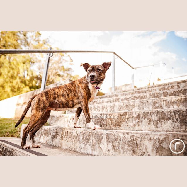 Photo of Miss Maggie