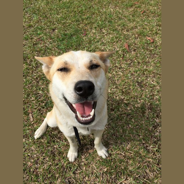 Photo of Elsa ~ On Trial 16/10/15