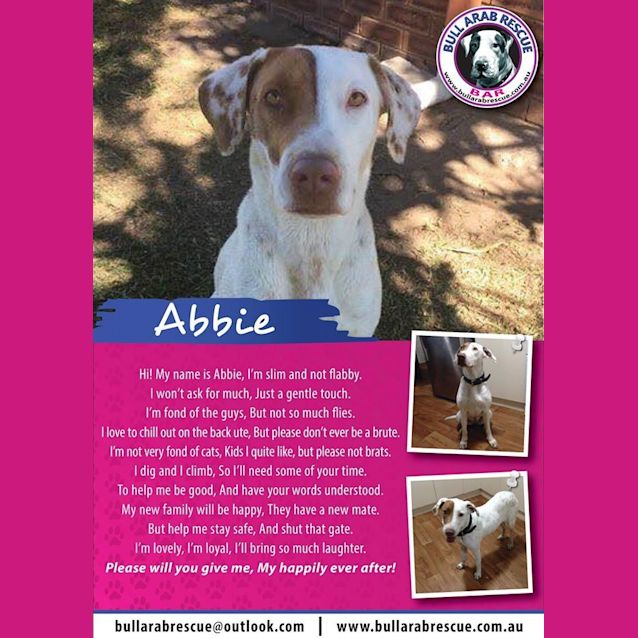 Photo of Abbie