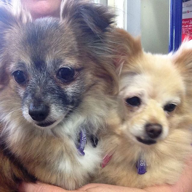 Photo of April & Abby