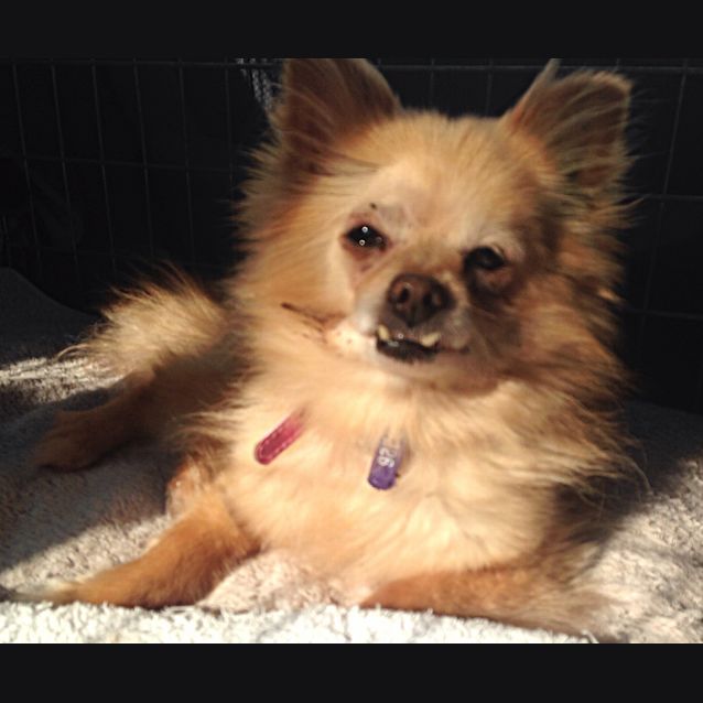 Photo of April & Abby