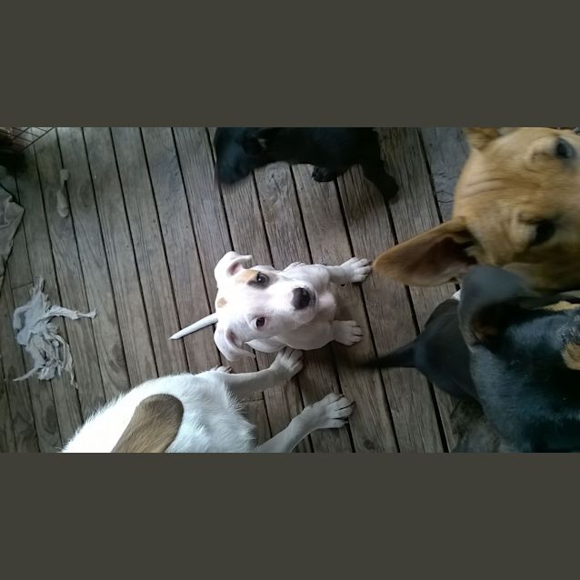 Photo of Apollo