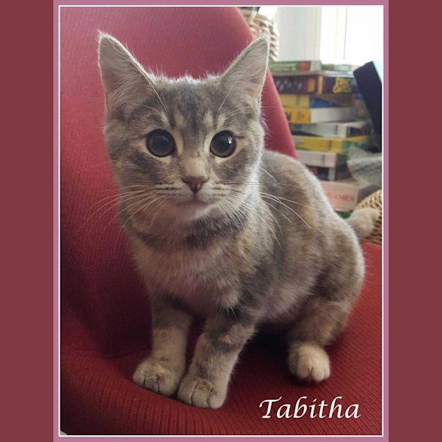 Photo of Tabitha