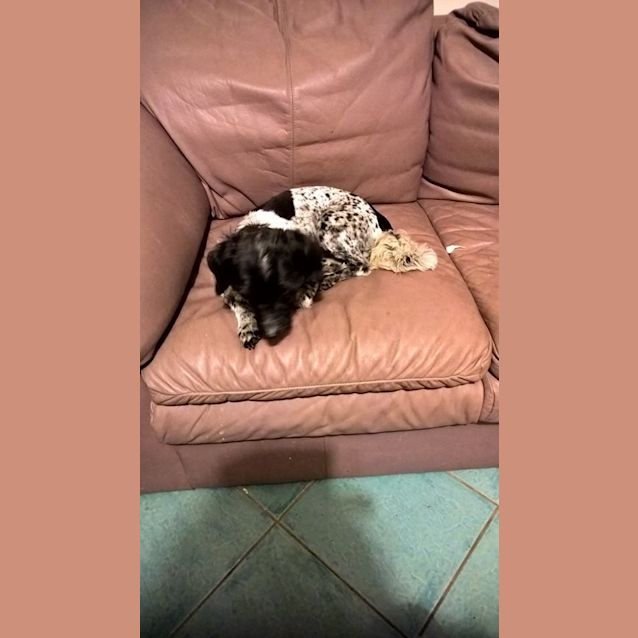 Photo of Zoe