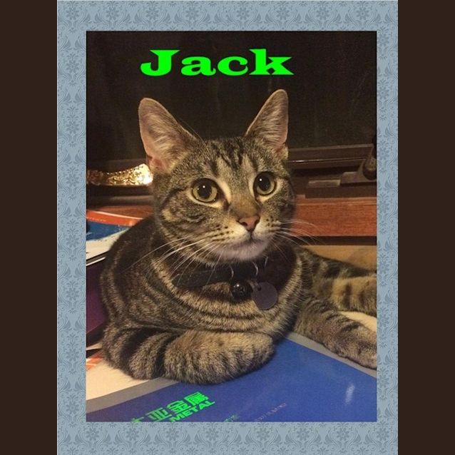 Photo of Jack