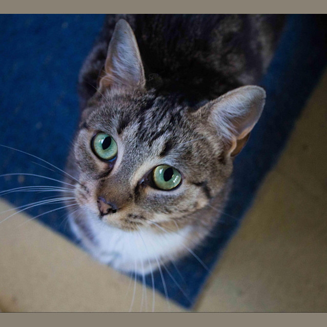 Photo of Minky