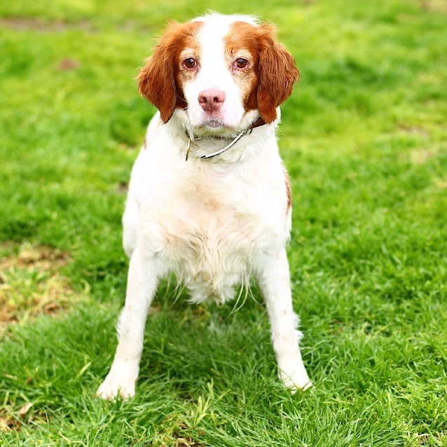 Photo of Rosie