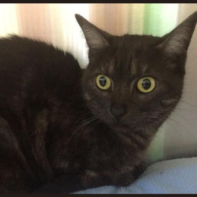 Photo of Storm