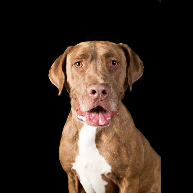 Photo of Hazel