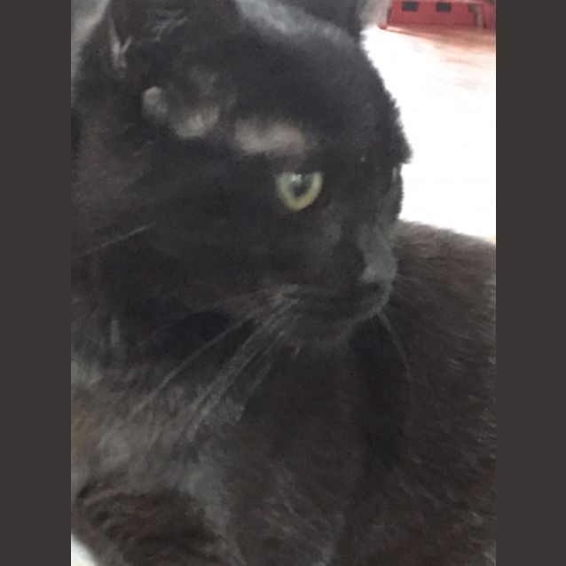 Photo of Zippy