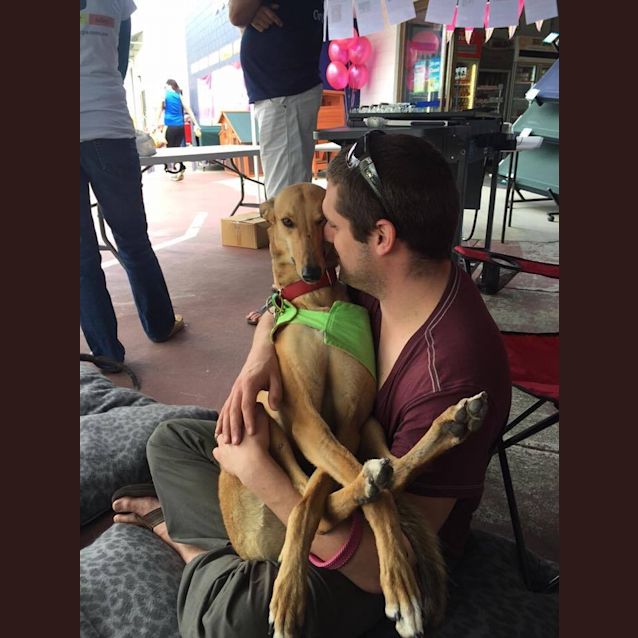 Photo of “Stella”, The Feisty Redhead. Brisbane