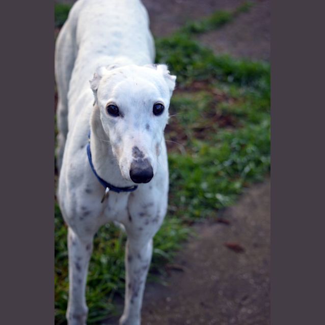 Photo of "Salt", Sweeter Than Her Name. Melbourne