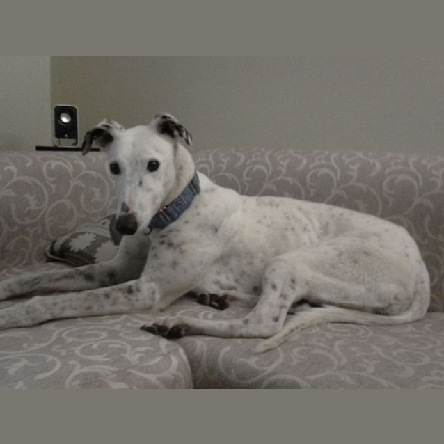 Photo of "Salt", Sweeter Than Her Name. Melbourne