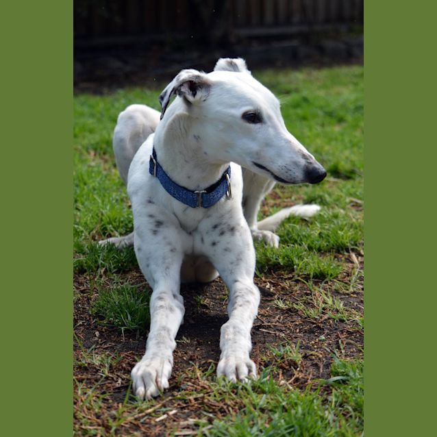 Photo of "Salt", Sweeter Than Her Name. Melbourne