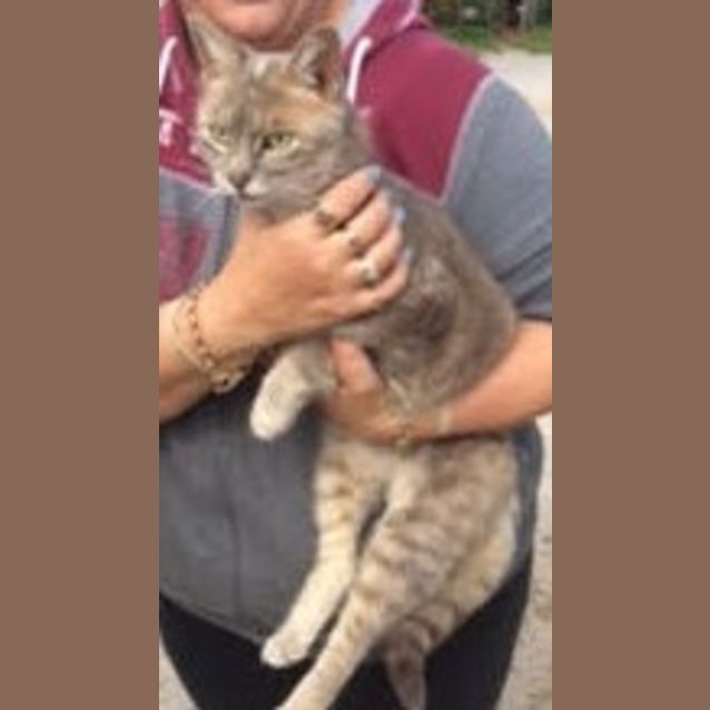Photo of Smokey