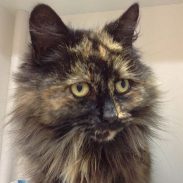 Photo of Susie