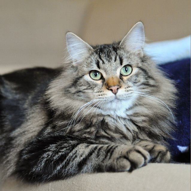 Photo of Truffle