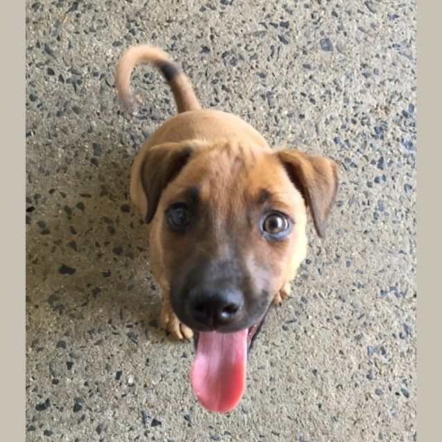 Photo of Lucy