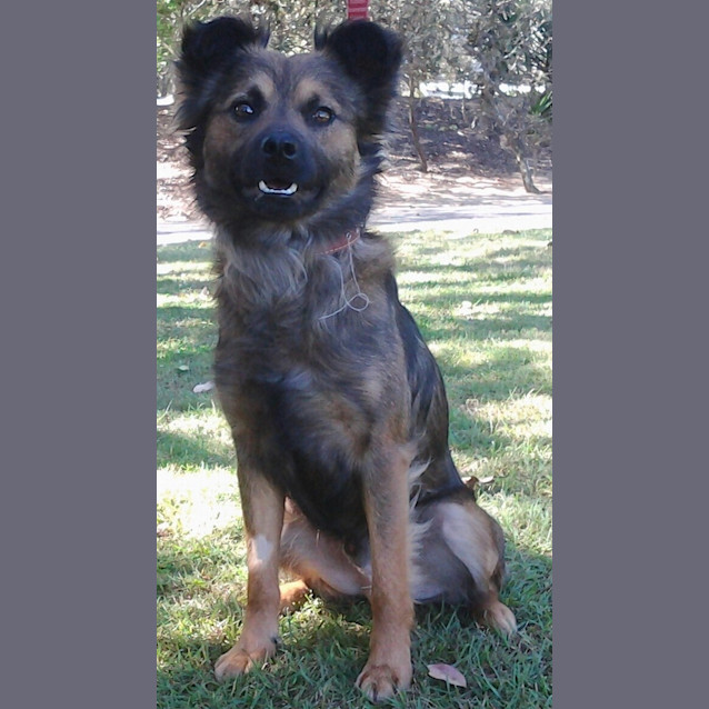 Photo of 095 1932 Zac