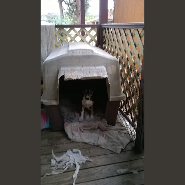 Photo of Sally