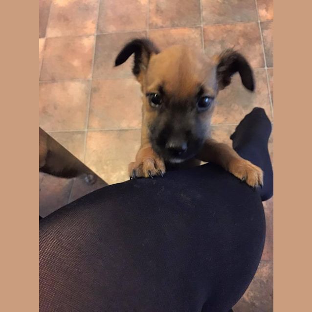 Photo of Evie 